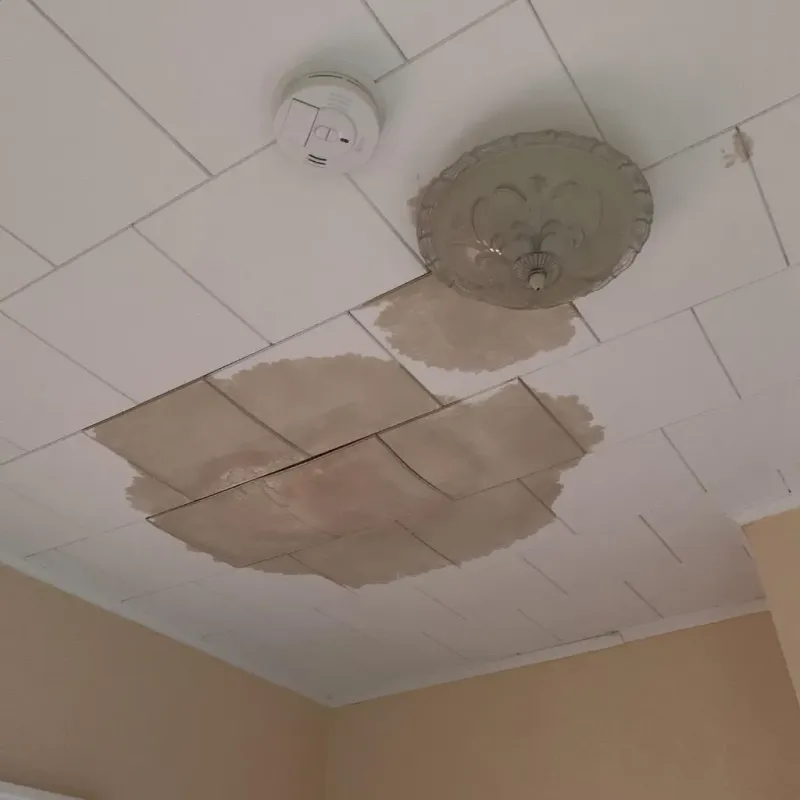 Ceiling Water Damage Repair in Elmwood Park, NJ
