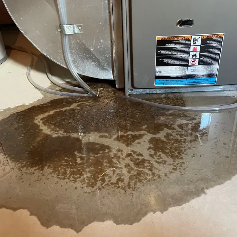 Pipe Burst and Leak Restoration in Elmwood Park, NJ